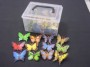 Butterfly Counters